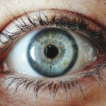 The Eyes that See: One Way to Use Your Eyes